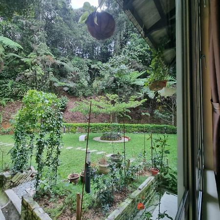 Highlanders Garden Guesthouse At Arundina Cameron Highlands Exterior foto